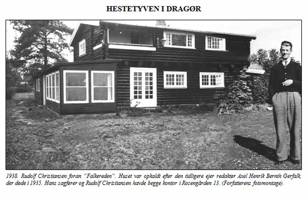 Kriminalsager - Dines Bogø